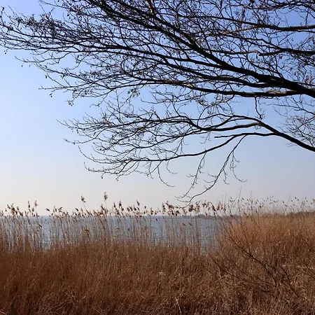 Agroturystyka Gardna Wielka Gardna Wielka